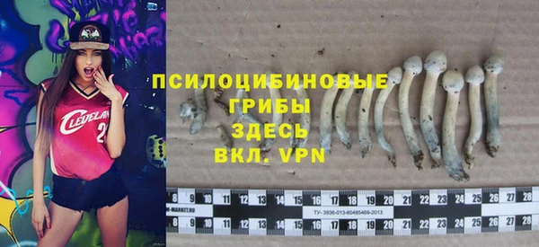 винт Армянск